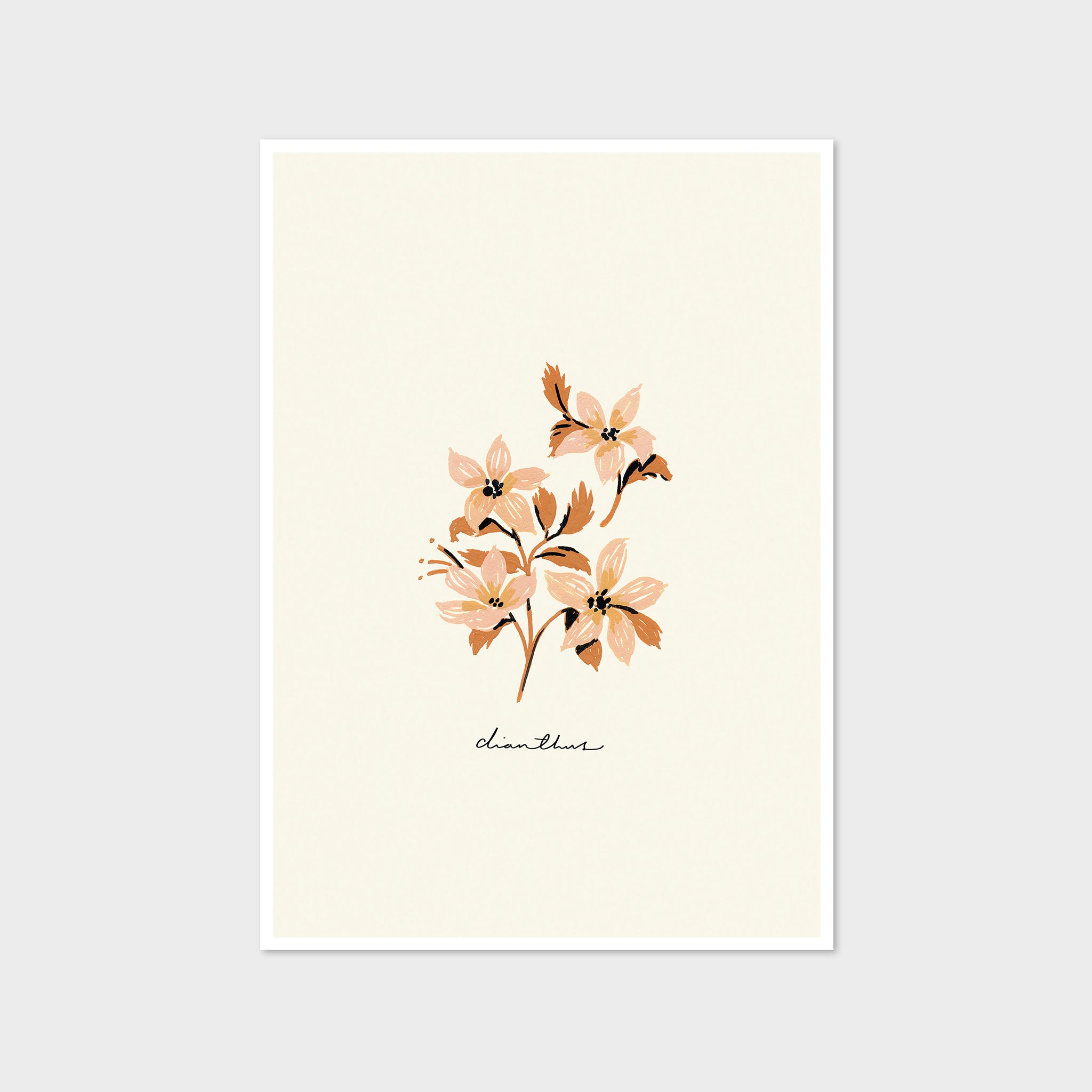 Vintage Flower Art Print - Dianthus