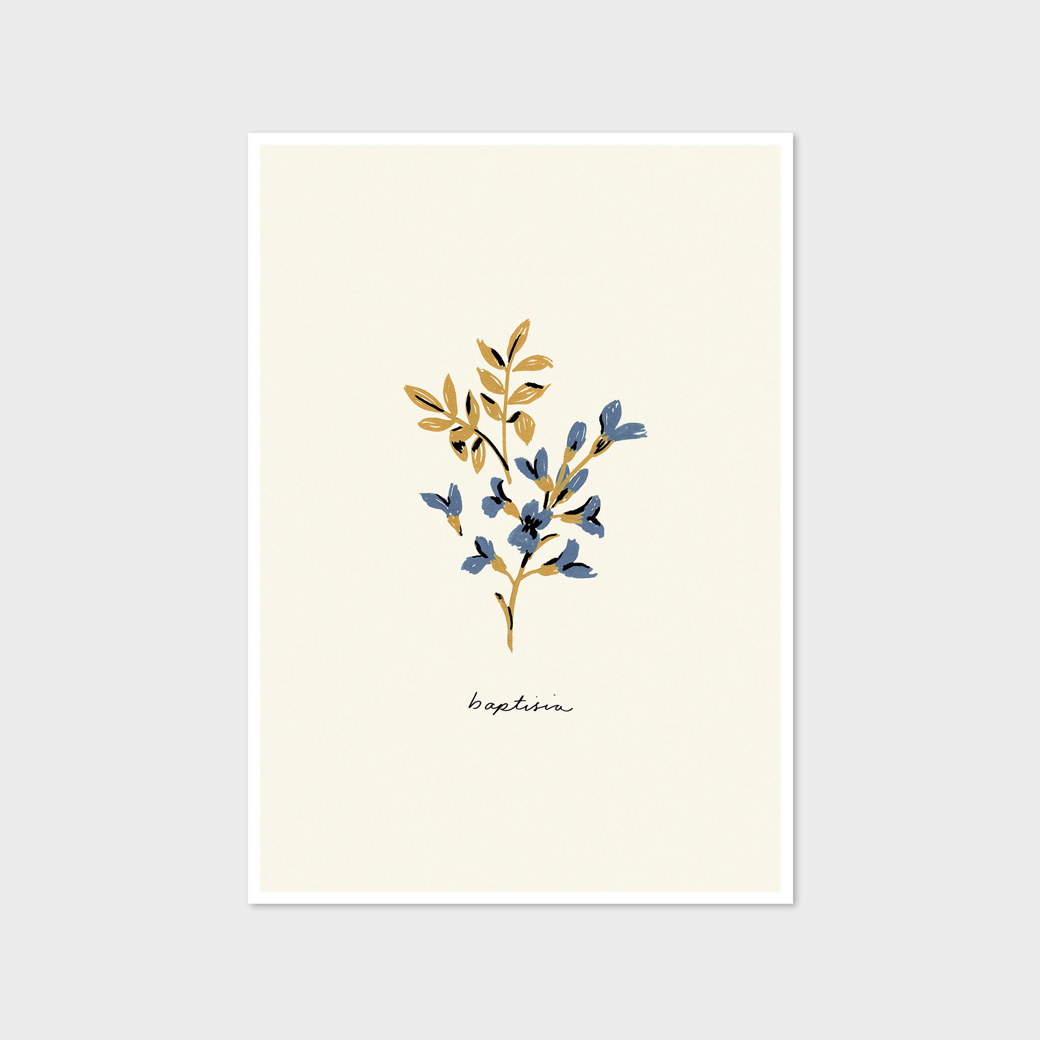 Blue Flower Art Print - Baptisia
