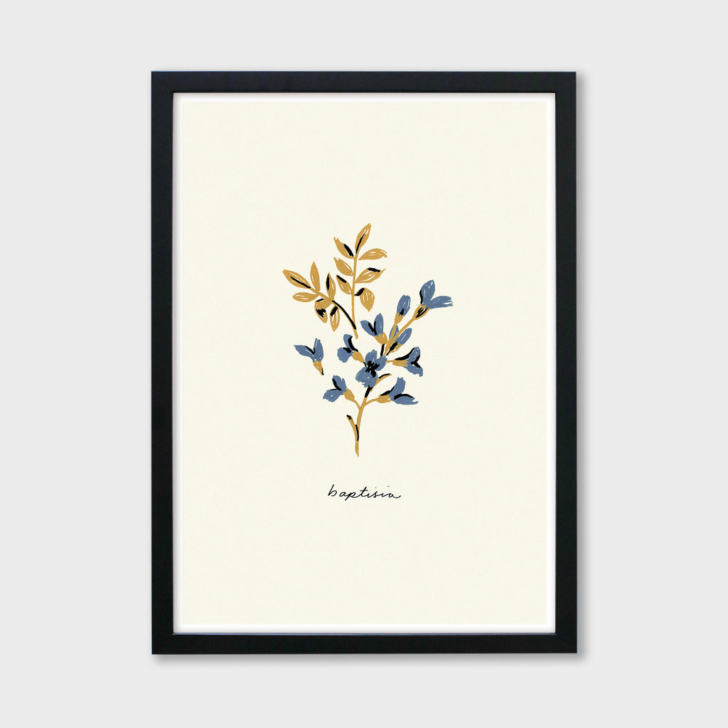 Blue Flower Art Print - Baptisia