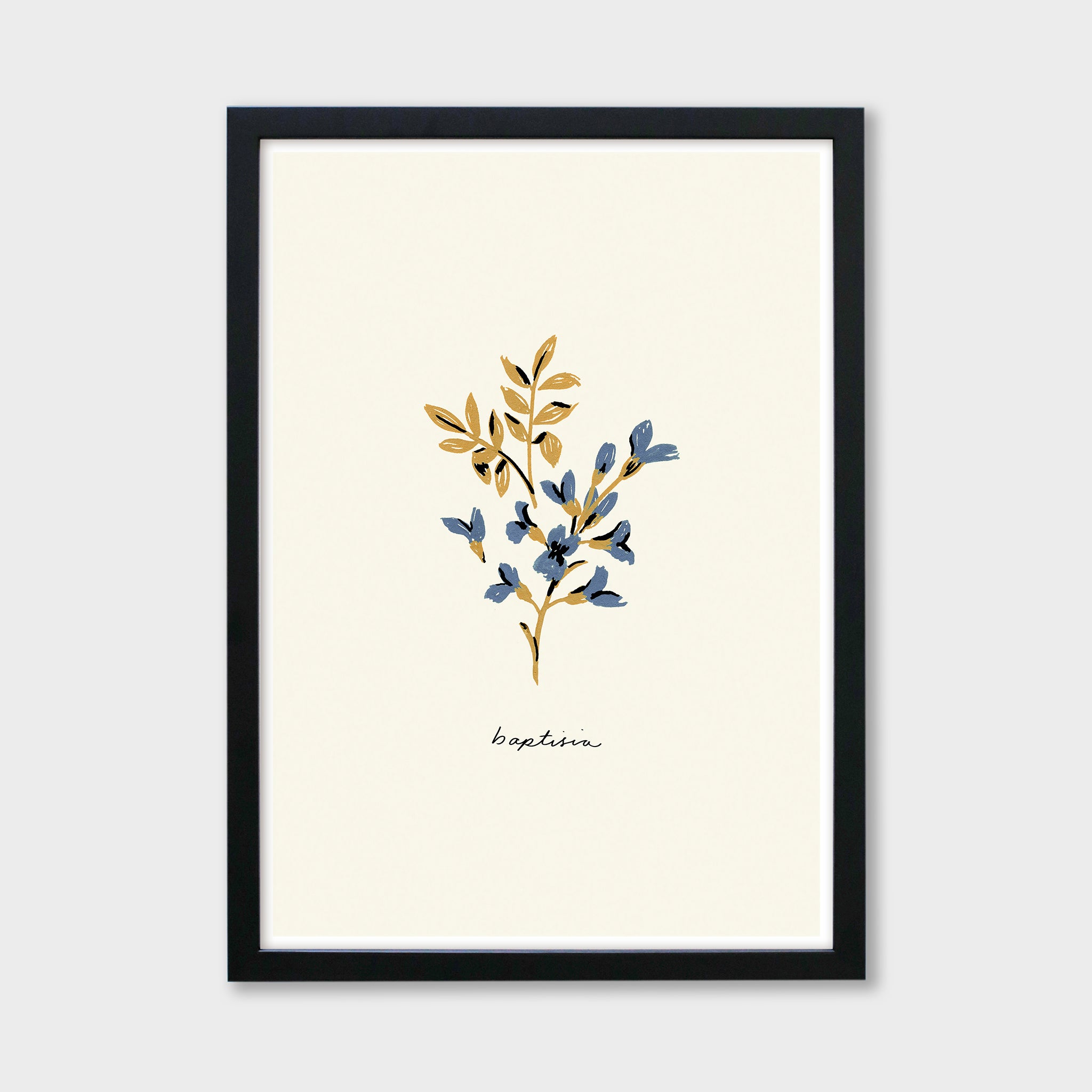 Blue Flower Art Print - Baptisia