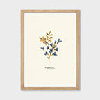Blue Flower Art Print - Baptisia