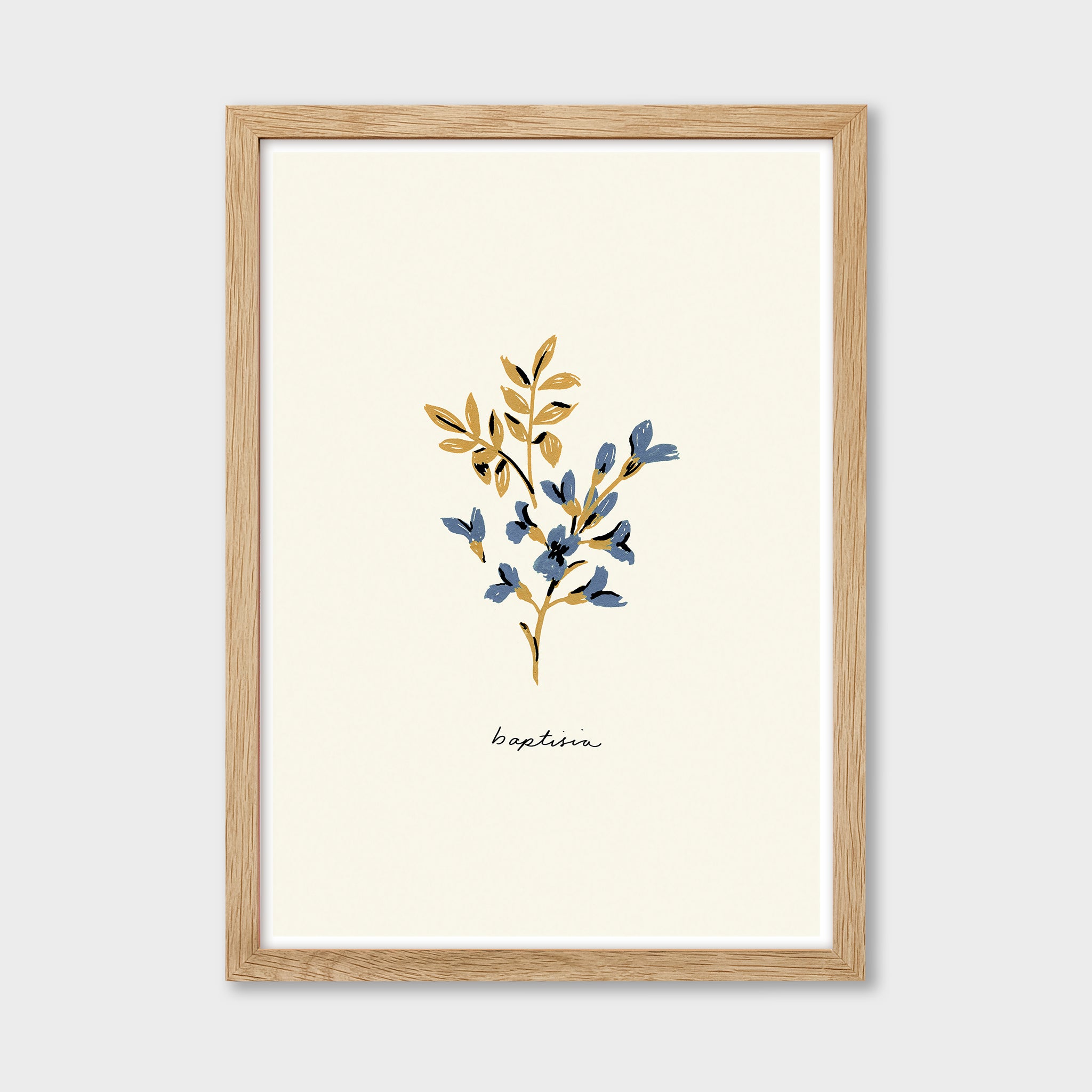 Blue Flower Art Print - Baptisia