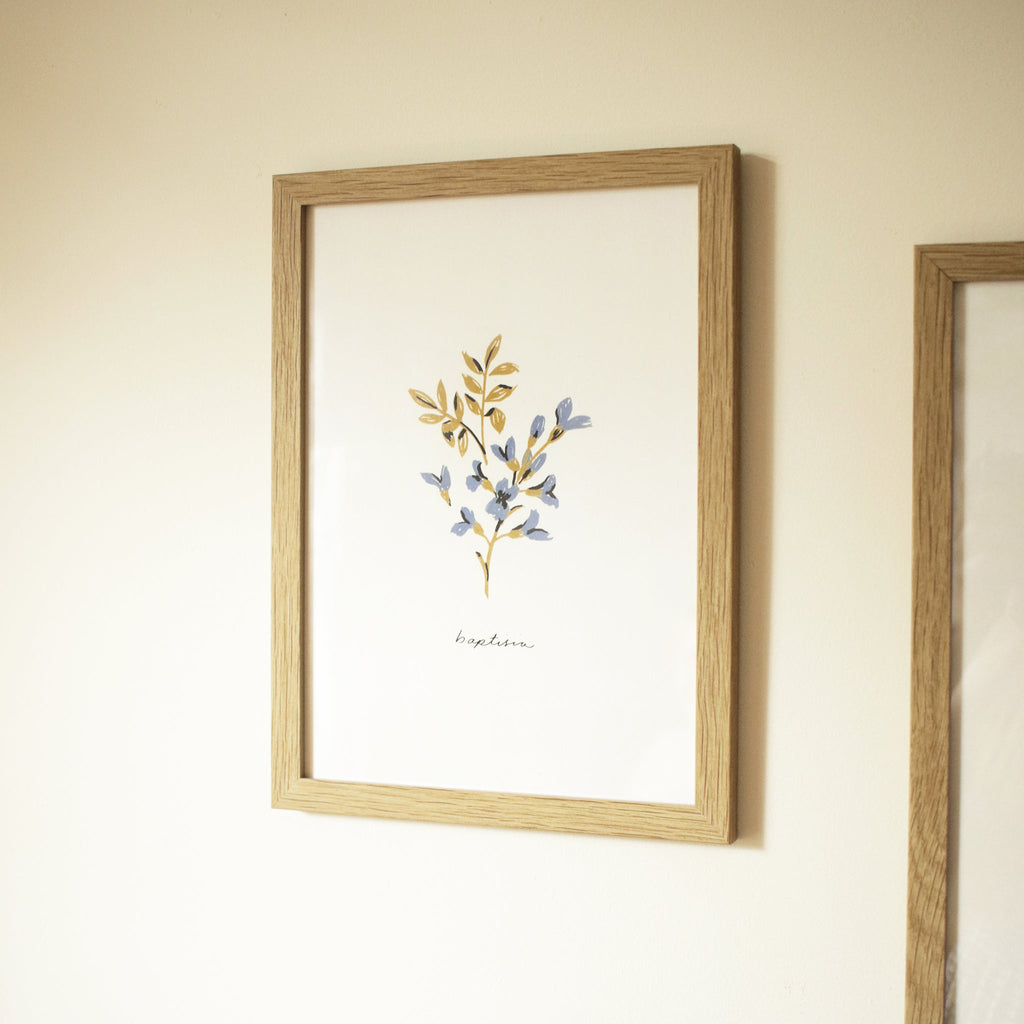 Blue Flower Art Print - Baptisia