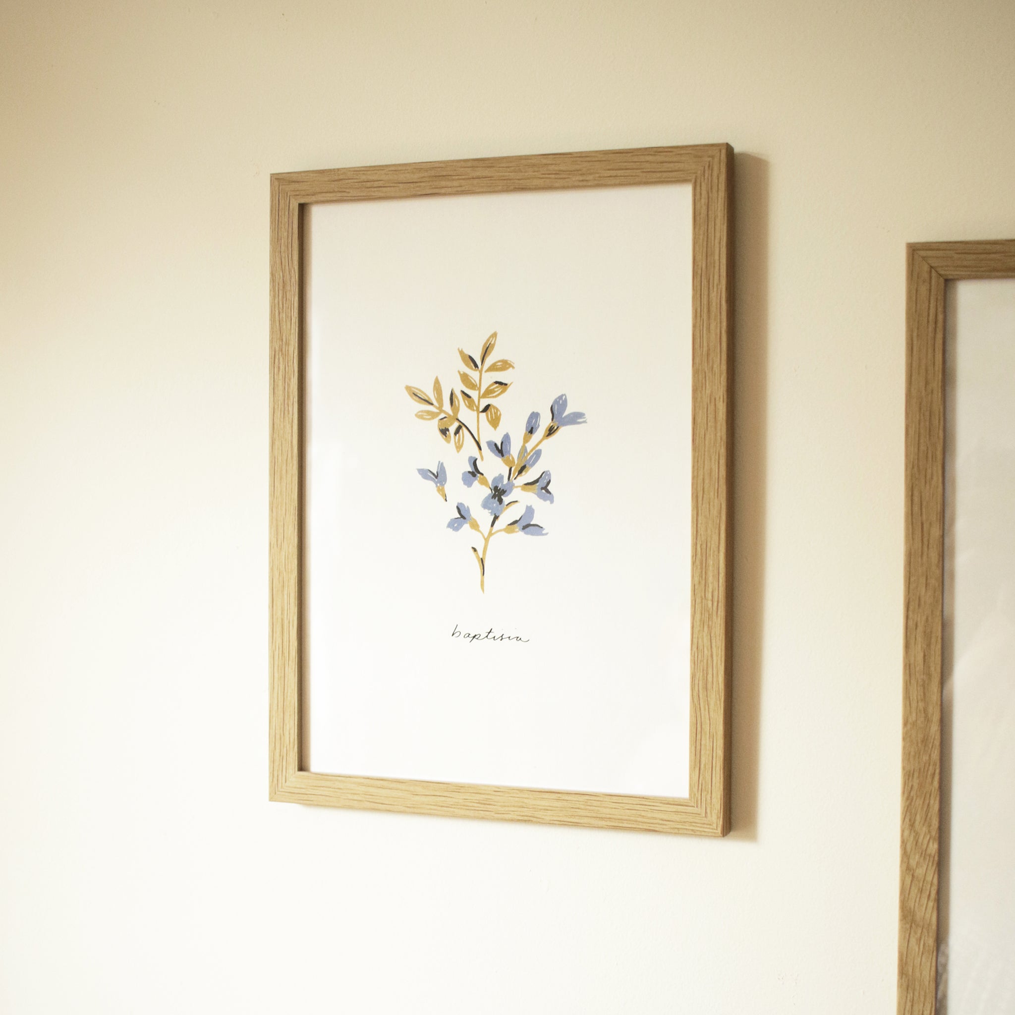 Blue Flower Art Print - Baptisia