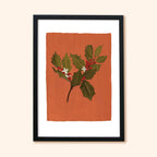 Holly Floral Botanical Art Print