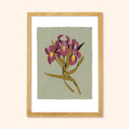 Green Iris Floral Botanical Art Print