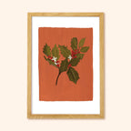 Holly Floral Botanical Art Print