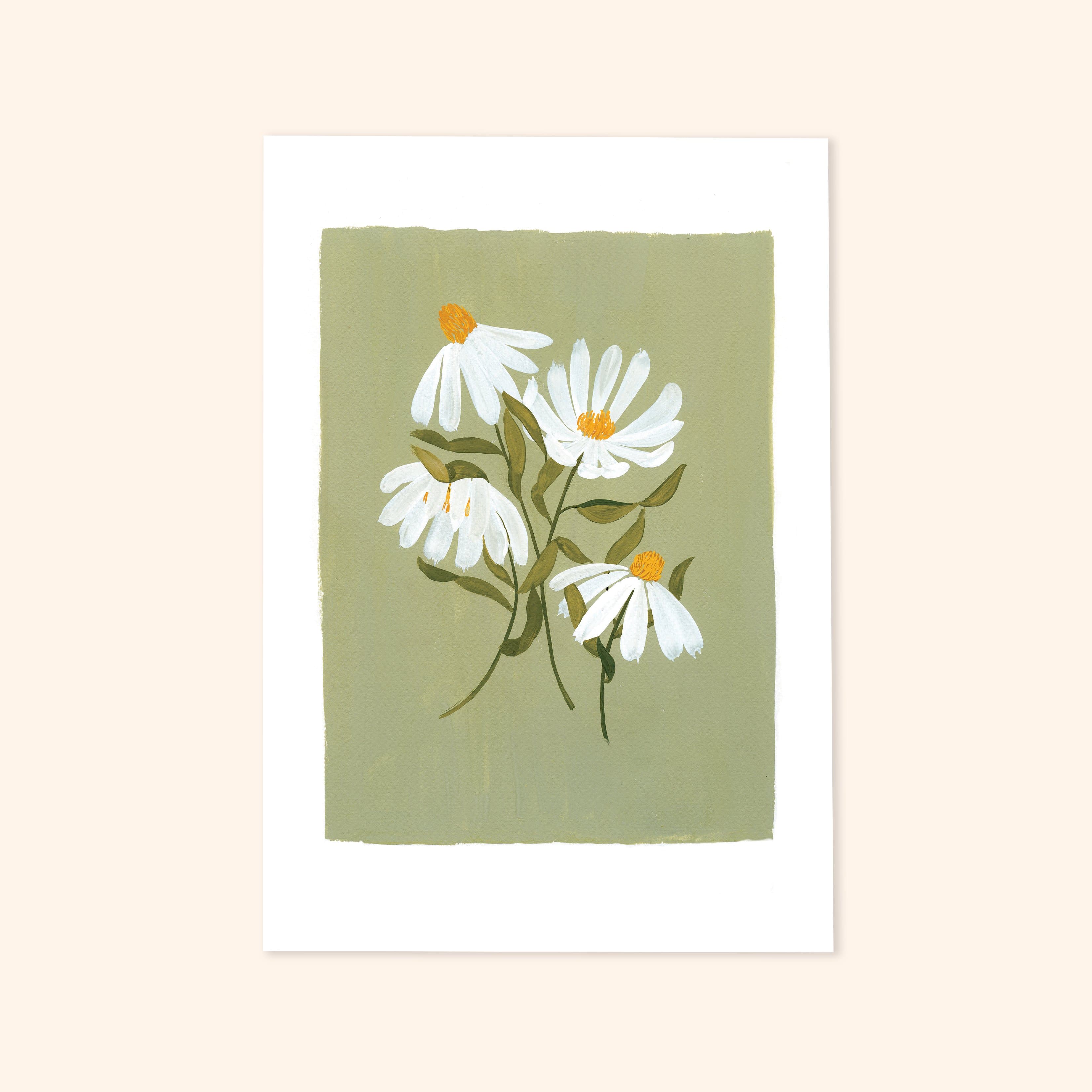 Green Floral Botanical Art Print - Coneflower