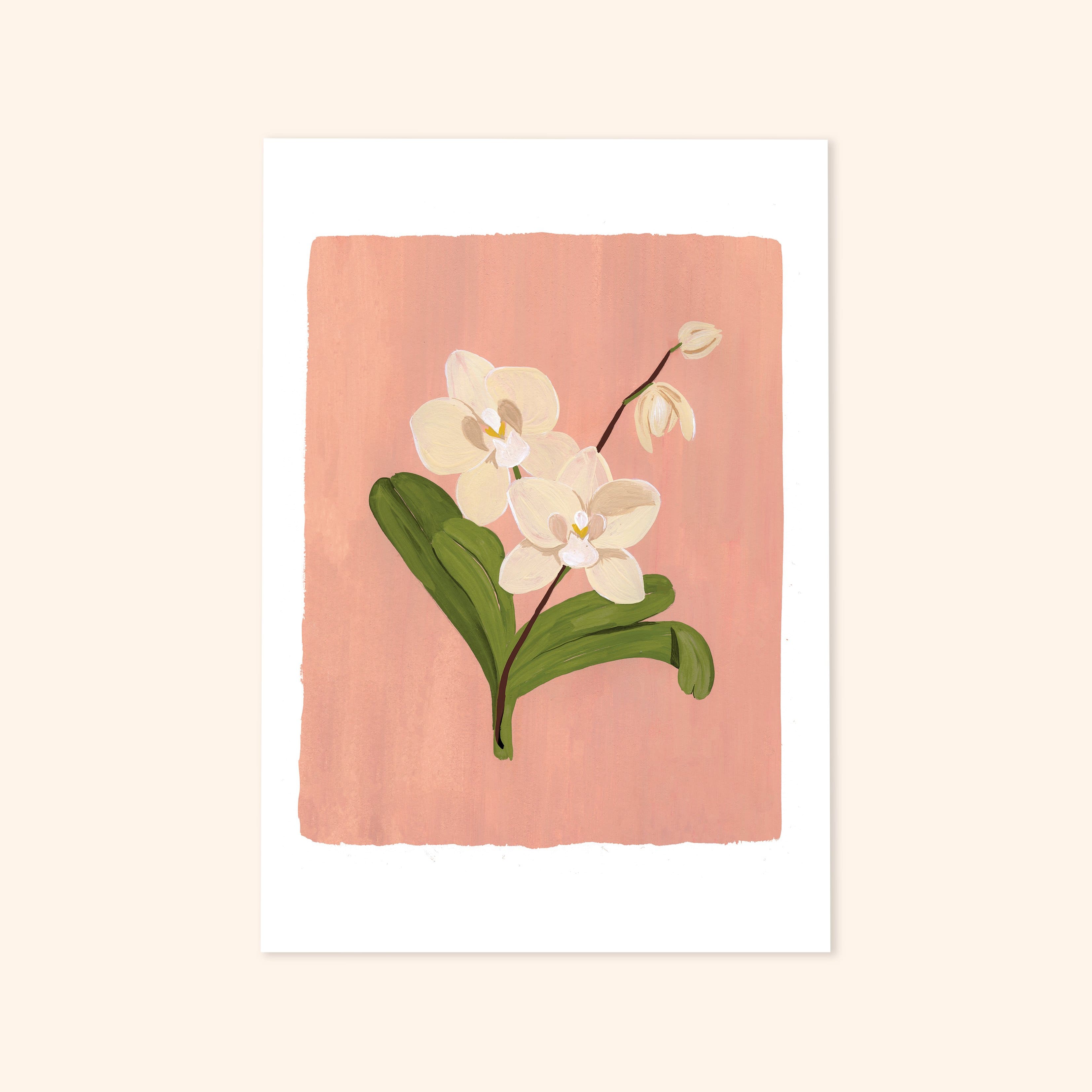 Pink Orchid Floral Botanical Art Print