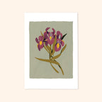 Green Iris Floral Botanical Art Print