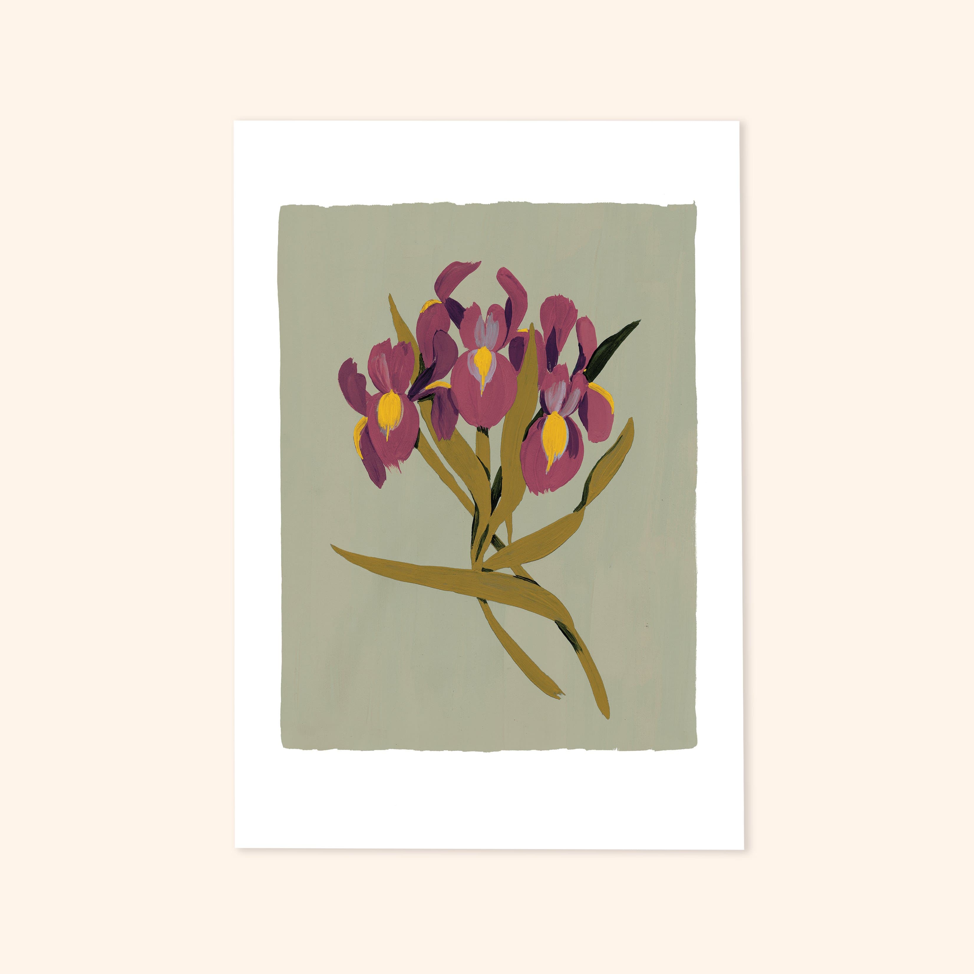 Green Iris Floral Botanical Art Print