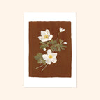 Brown Floral Botanical Art Print - Japanese Anemone