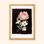 Black Floral Botanical Giclee Print - Paeonia