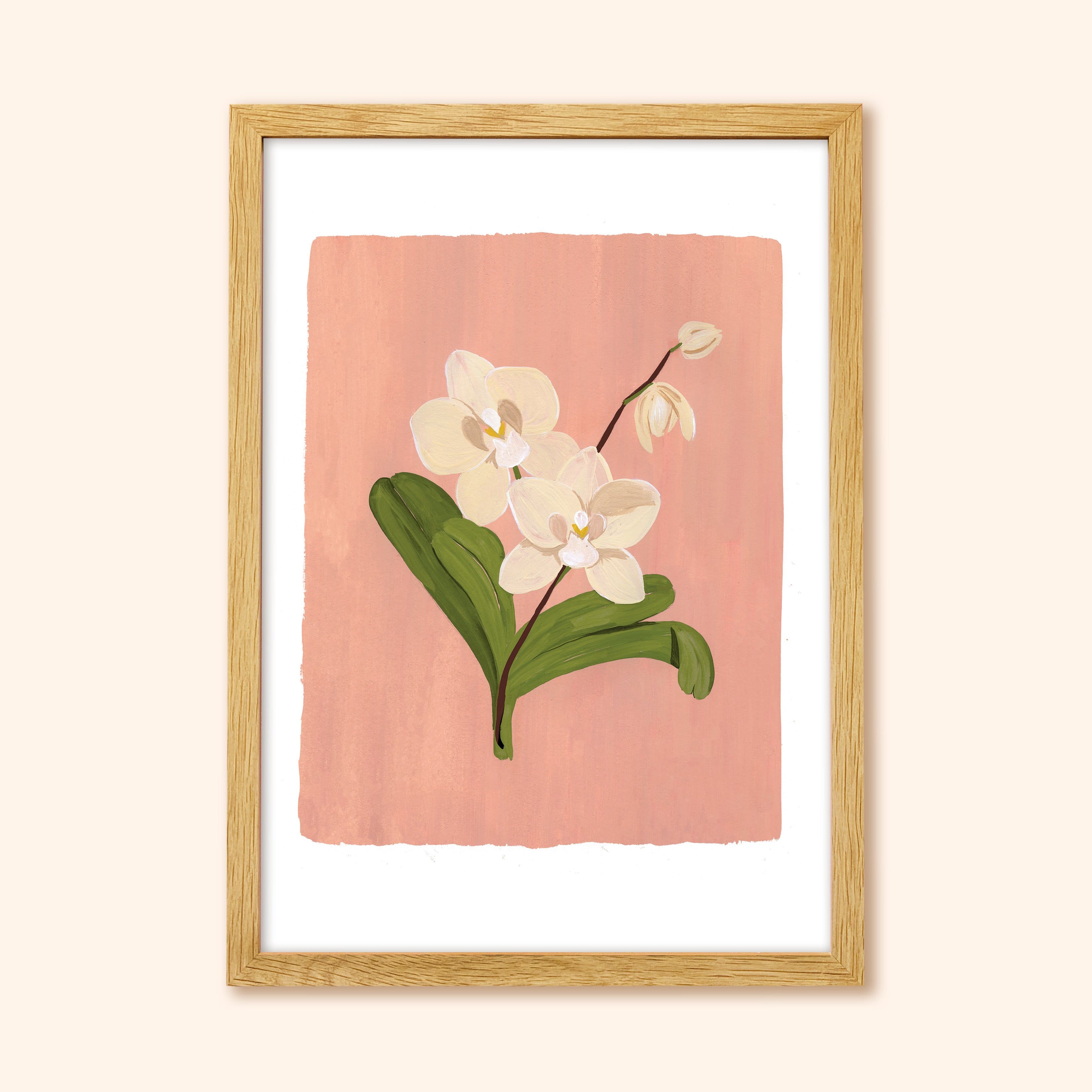 Pink Orchid Floral Botanical Art Print