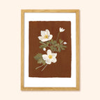 Brown Floral Botanical Art Print - Japanese Anemone
