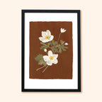 Brown Floral Botanical Art Print - Japanese Anemone
