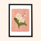 Pink Orchid Floral Botanical Art Print