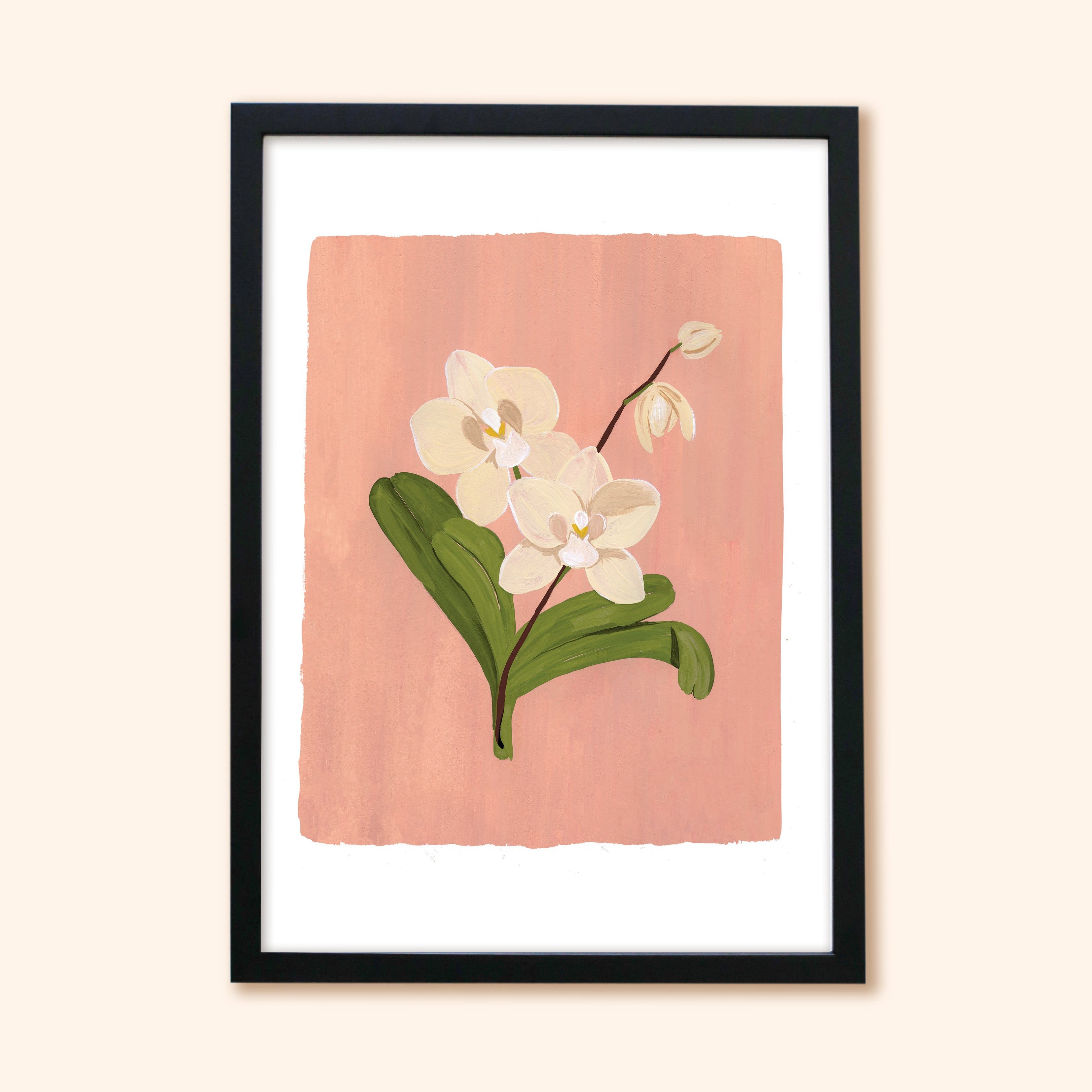 Pink Orchid Floral Botanical Art Print