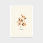 Vintage Flower Art Print - Dianthus