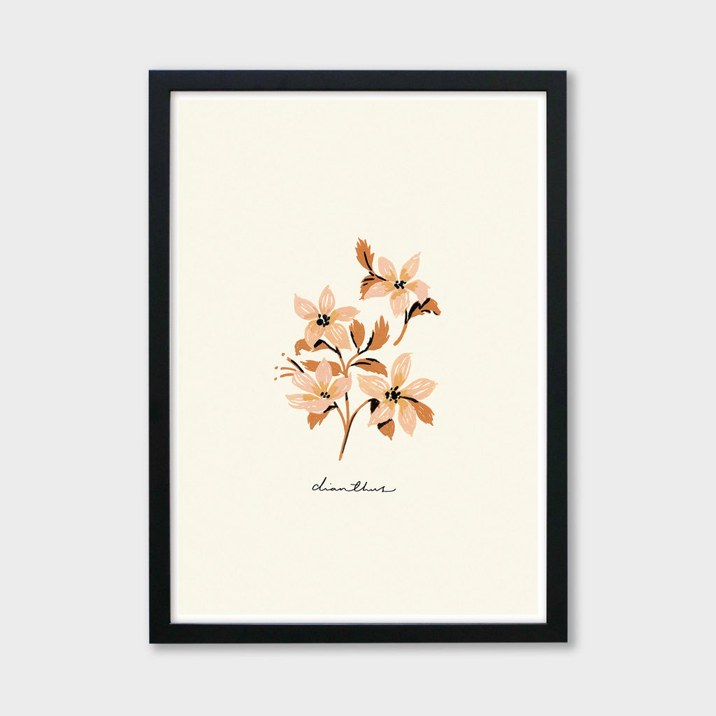 Vintage Flower Art Print - Dianthus