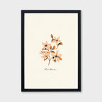 Vintage Flower Art Print - Dianthus