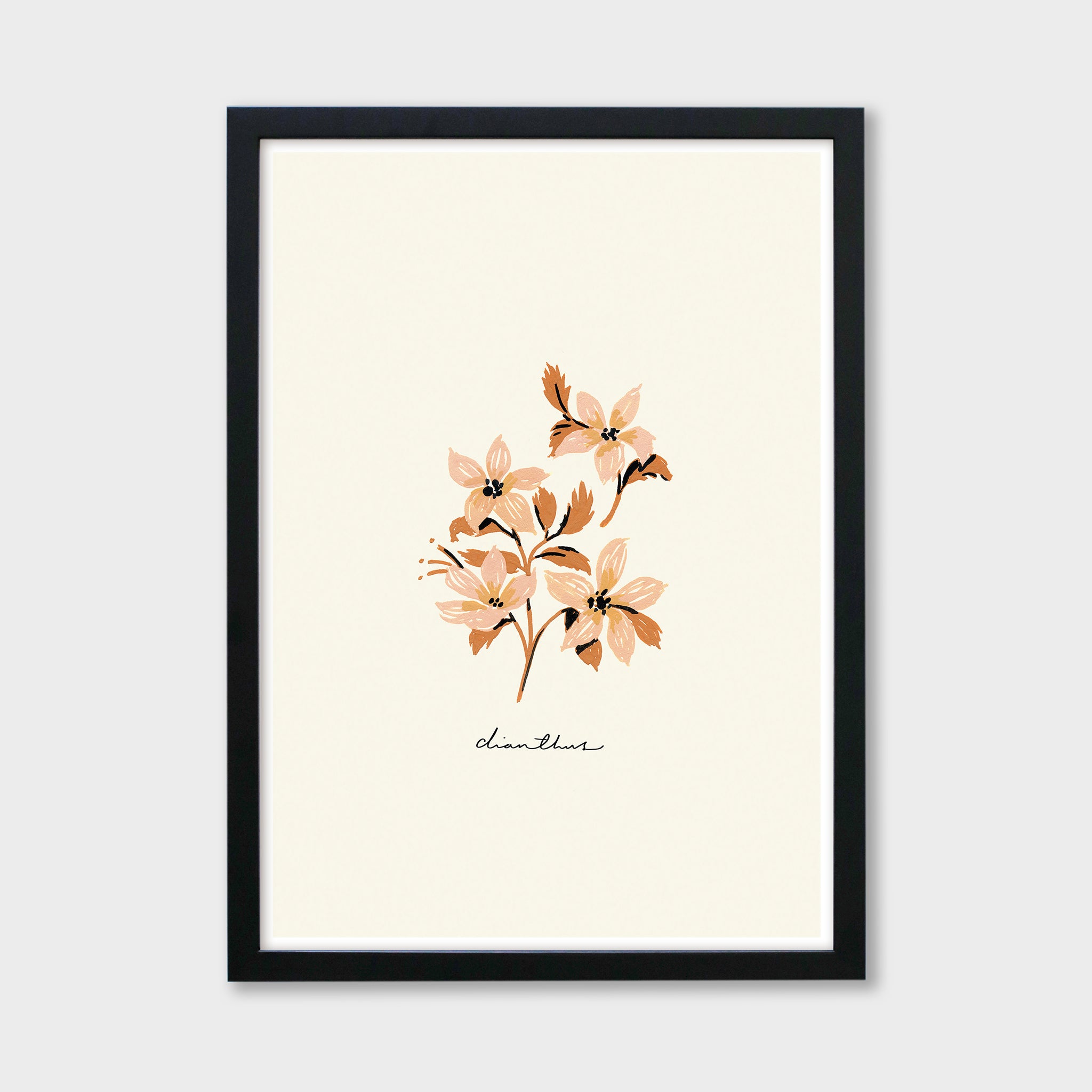 Vintage Flower Art Print - Dianthus