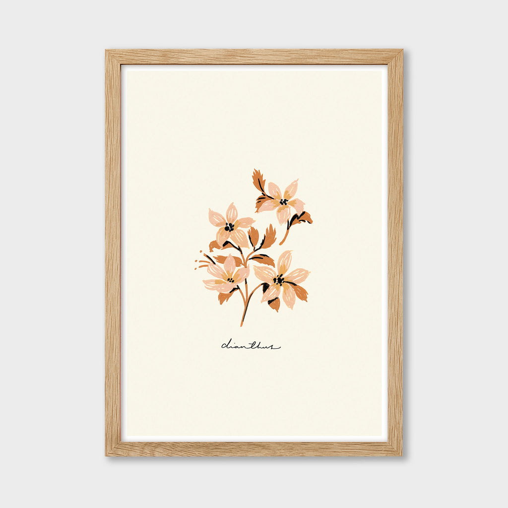 Vintage Flower Art Print - Dianthus