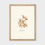 Vintage Flower Art Print - Dianthus