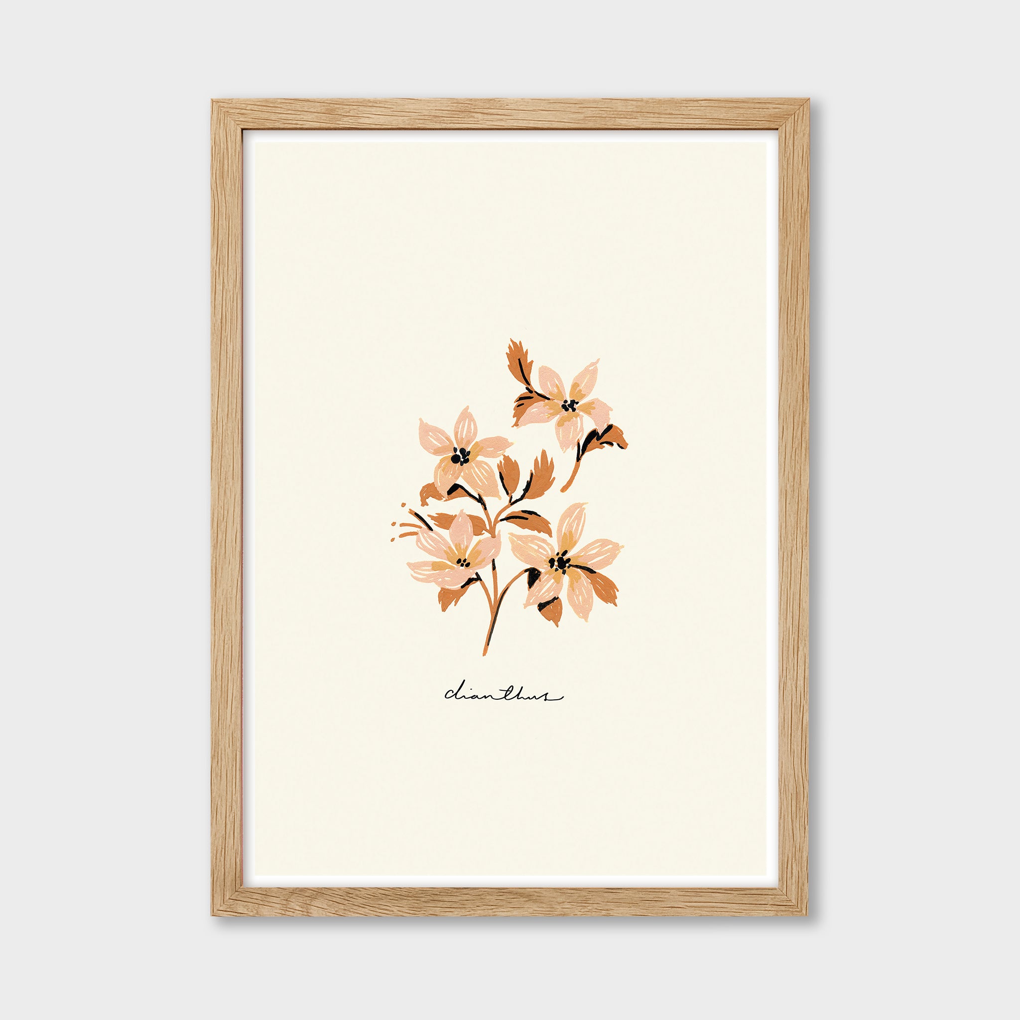 Vintage Flower Art Print - Dianthus