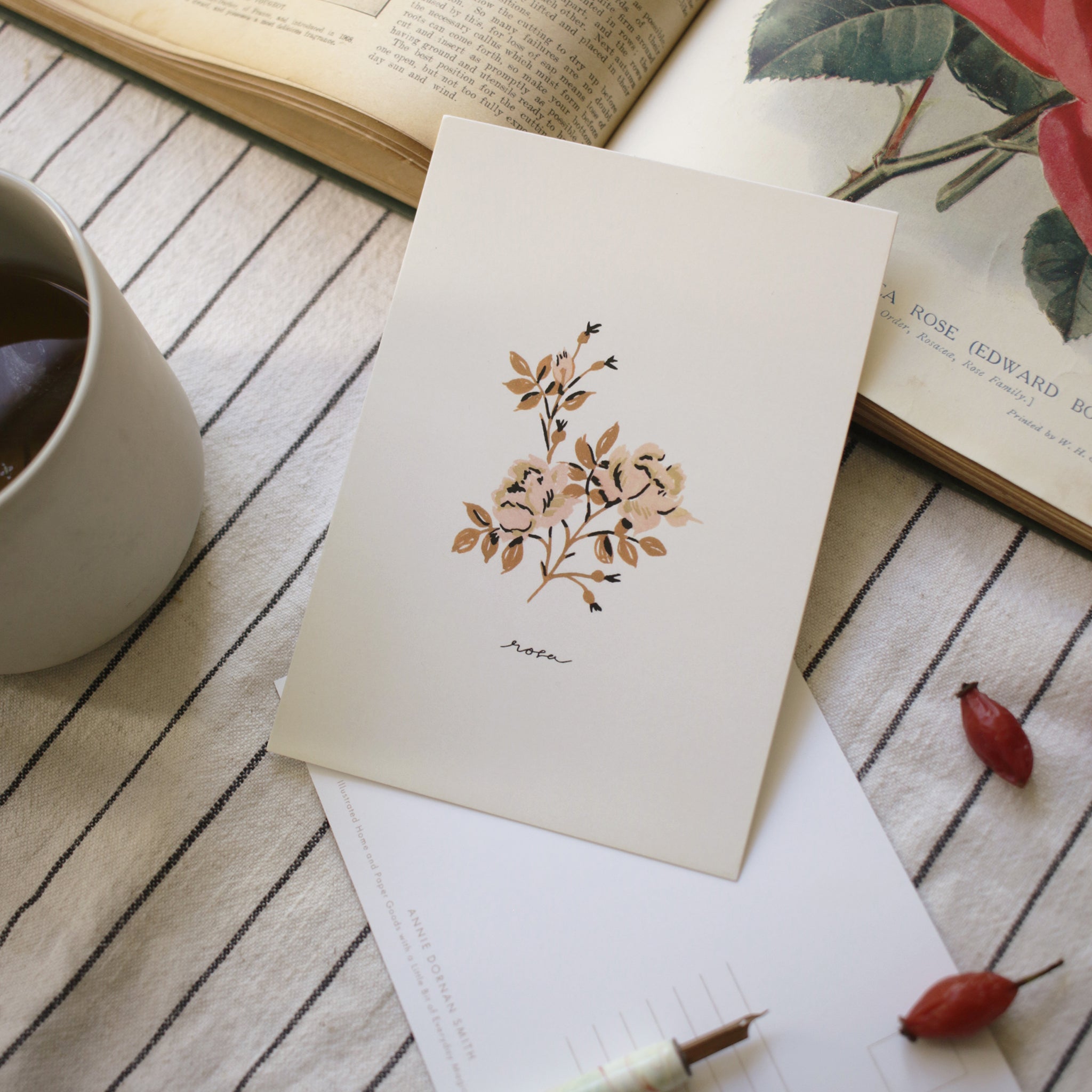 Rose Botanical Postcard