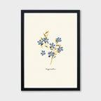 Forget Me Not Print - Myosotis