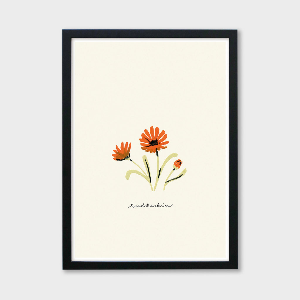 Orange Daisy Print - Rudbeckia