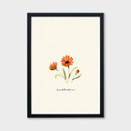 Orange Daisy Print - Rudbeckia