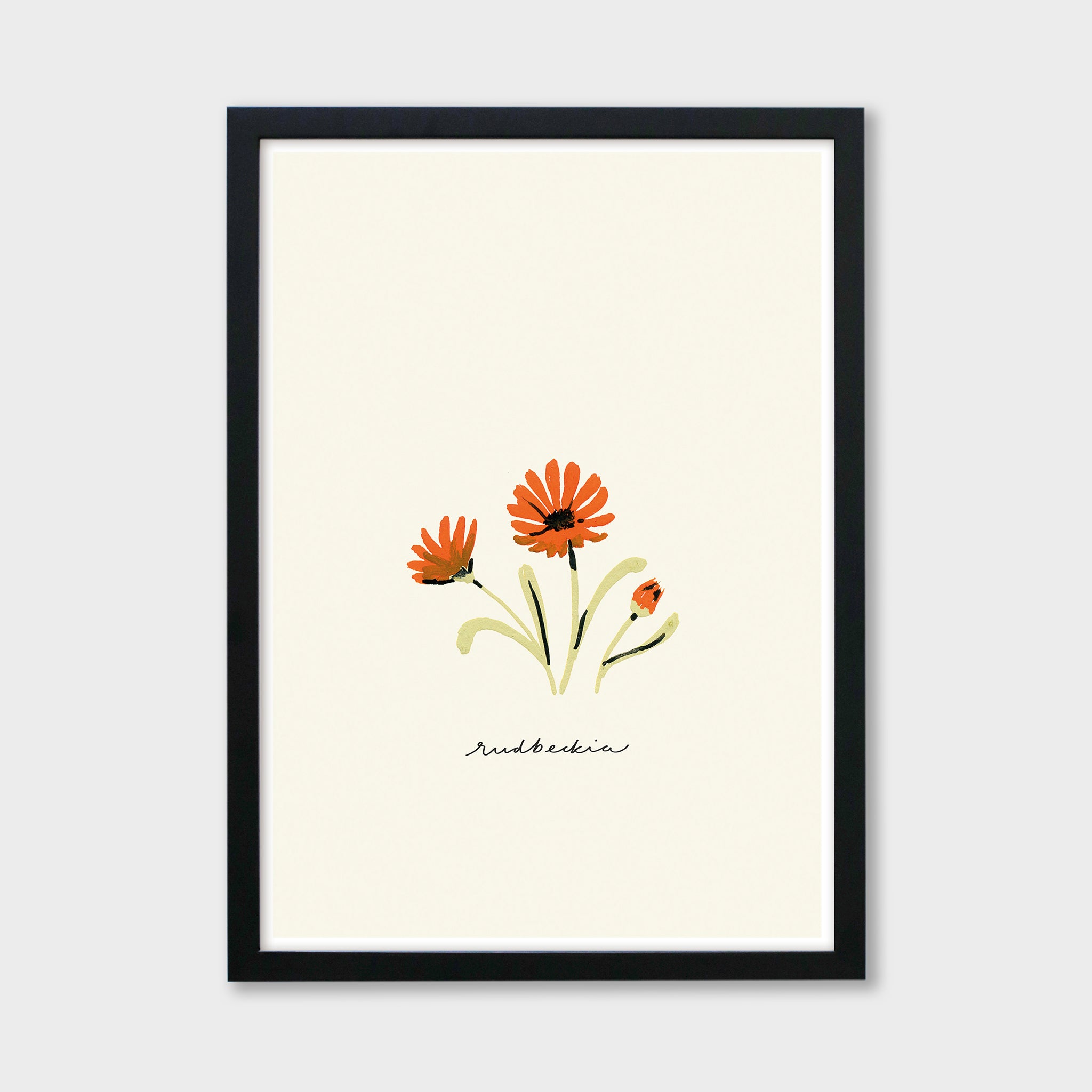 Orange Daisy Print - Rudbeckia