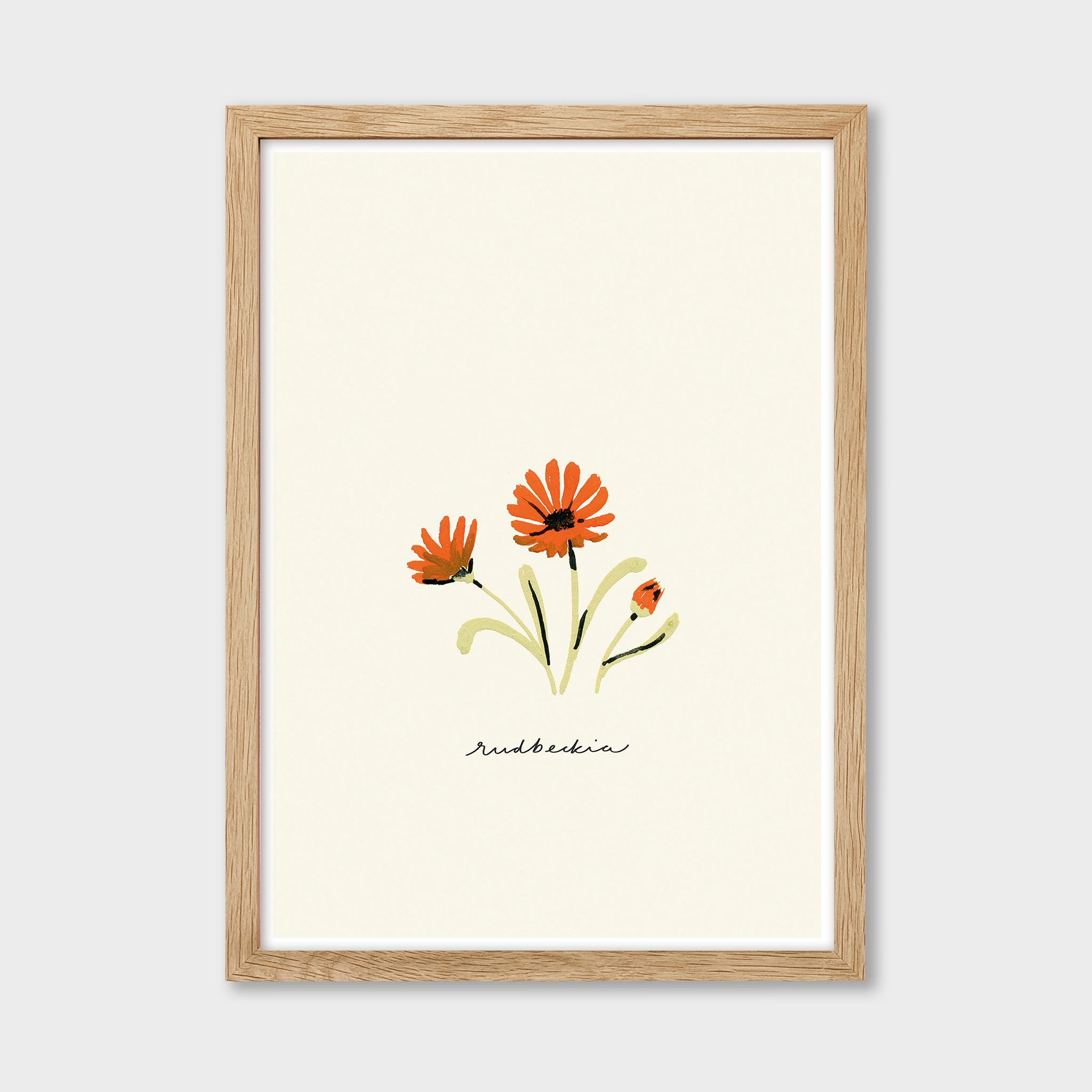 Orange Daisy Print - Rudbeckia