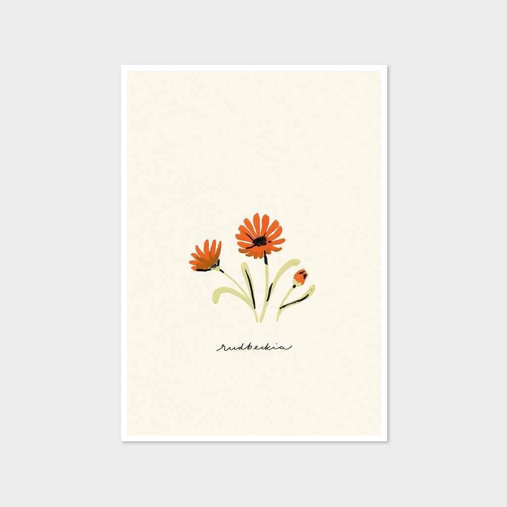Orange Daisy Print - Rudbeckia