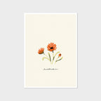 Orange Daisy Print - Rudbeckia