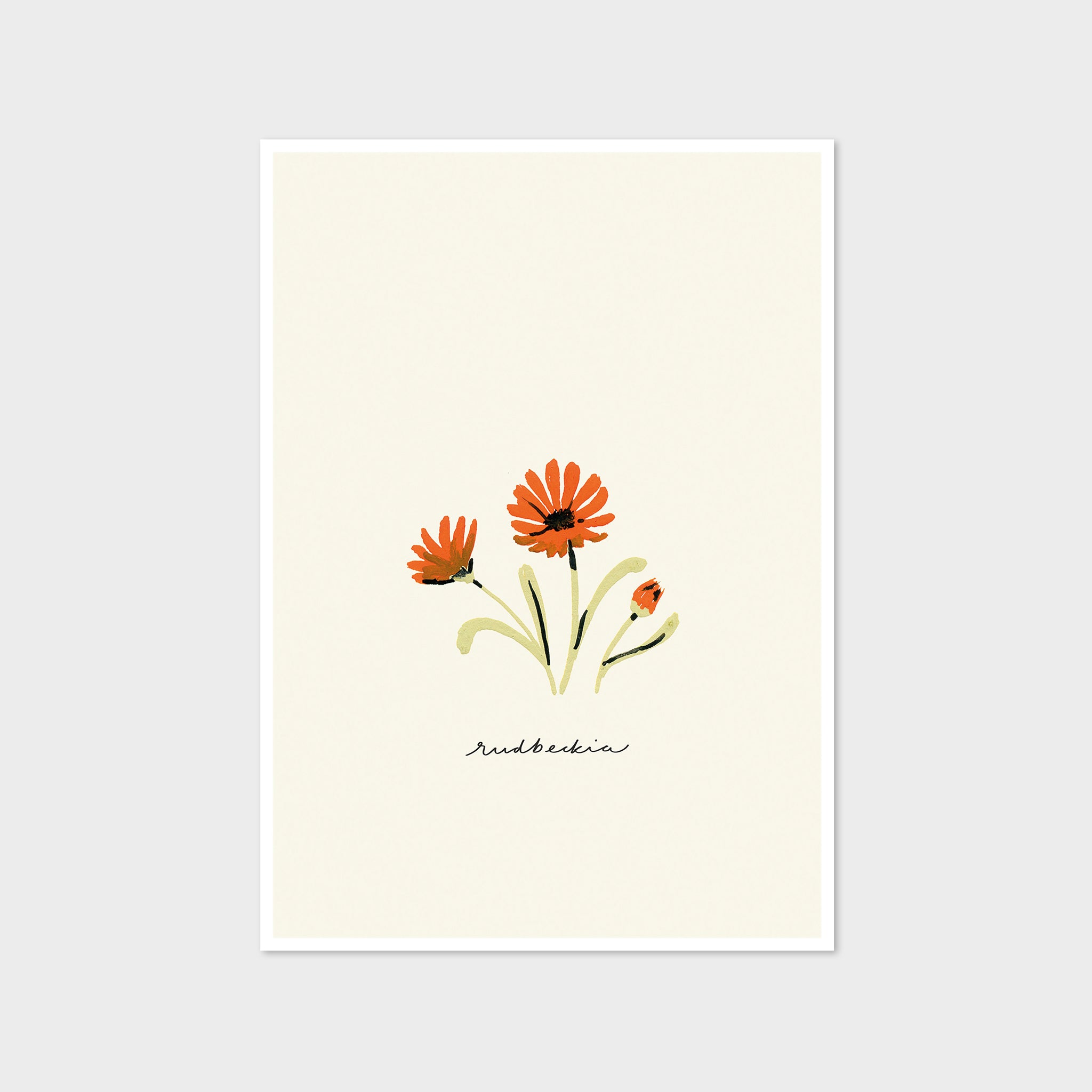 Orange Daisy Print - Rudbeckia
