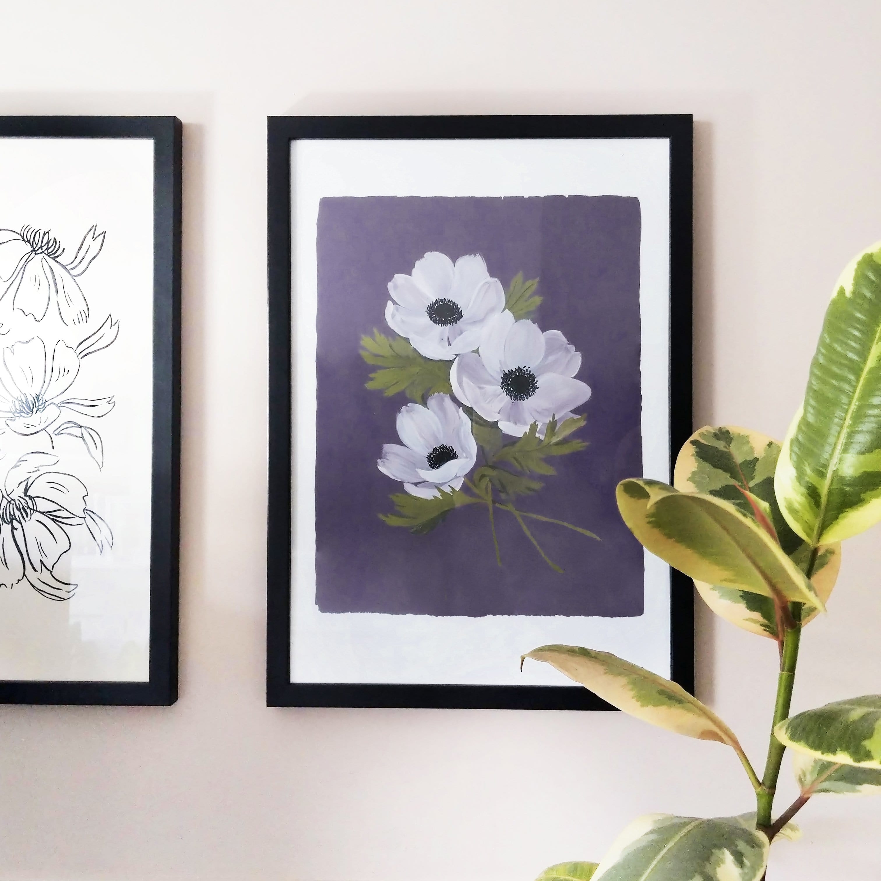 Purple Floral Botanical Art Print - White Anemone