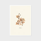 Wild Rose Print