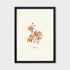 Wild Rose Print