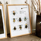 Bee Art Print - A Collection of British Bees