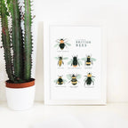 Bee Art Print - A Collection of British Bees