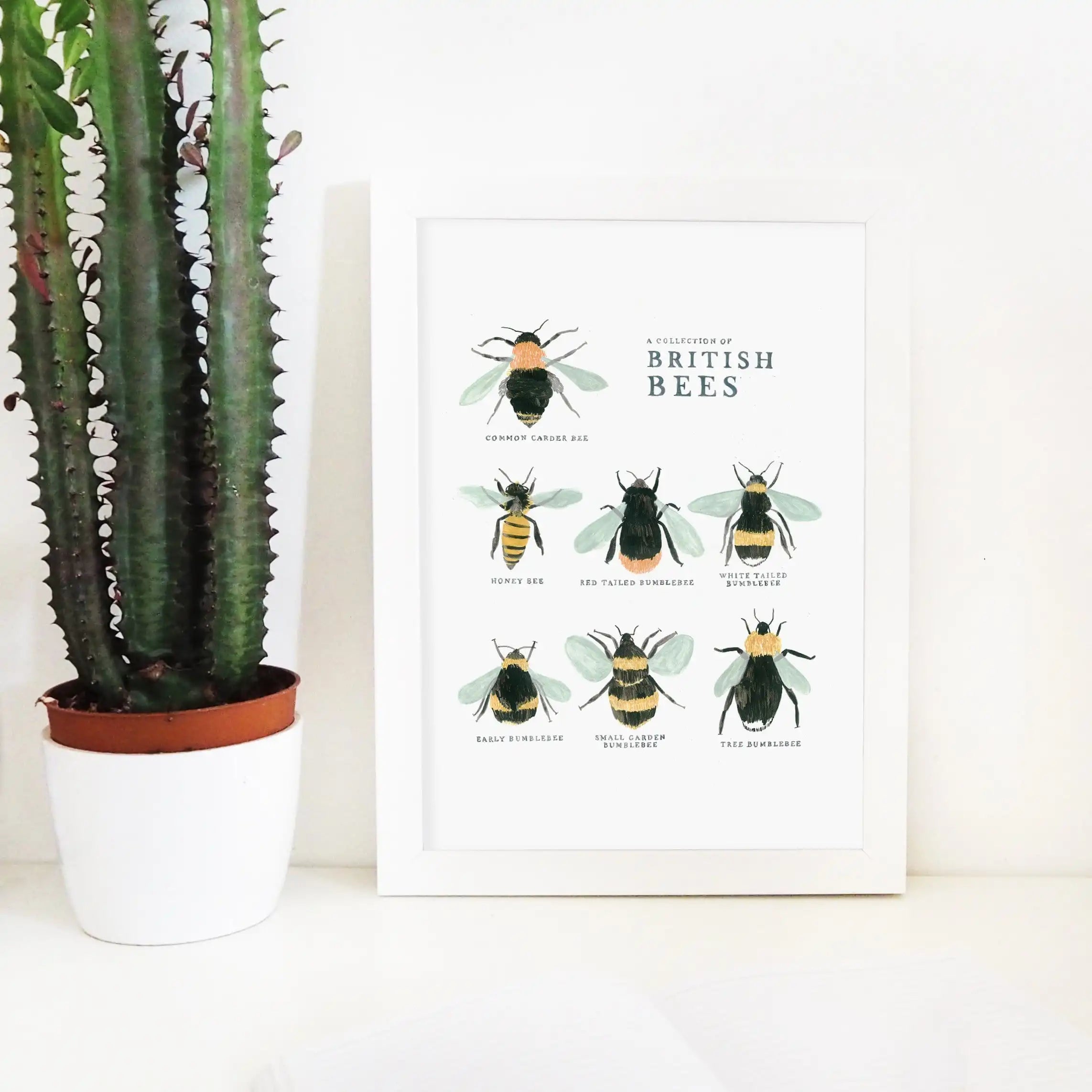 Bee Art Print - A Collection of British Bees