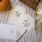 Blue Flower Postcard - Baptisia