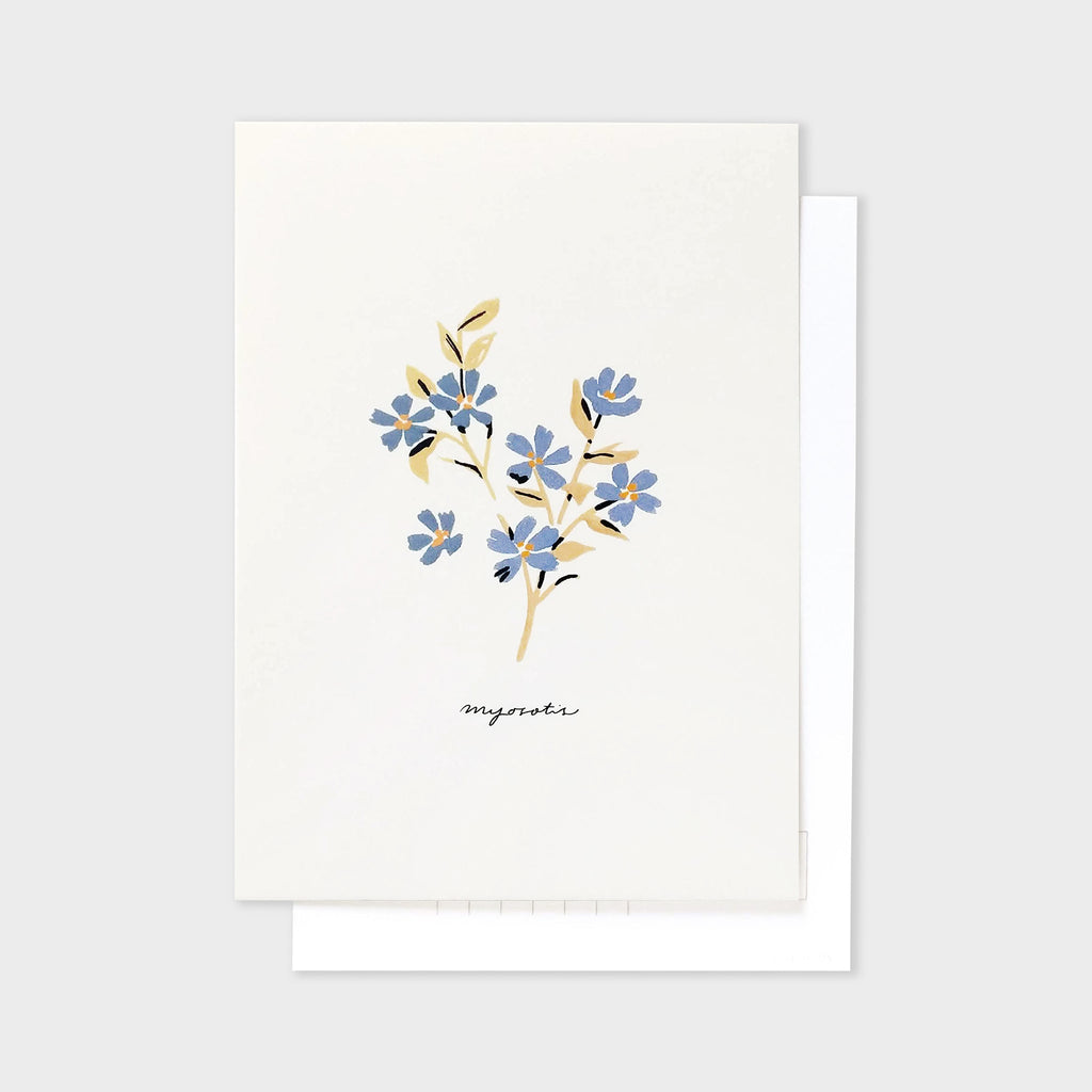 Forget Me Not Postcard - Myosotis