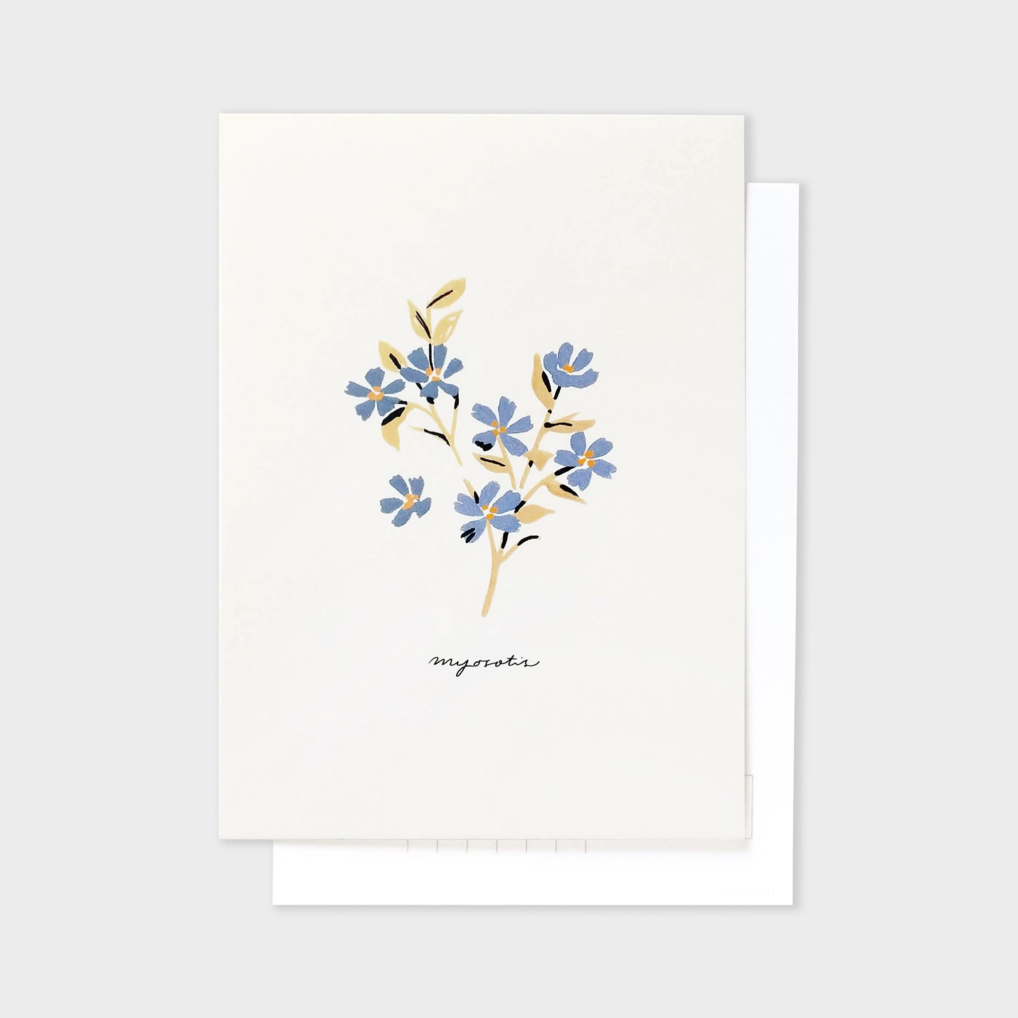 Forget Me Not Postcard - Myosotis