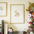 Wild Rose Print