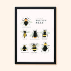 Bee Art Print - A Collection of British Bees