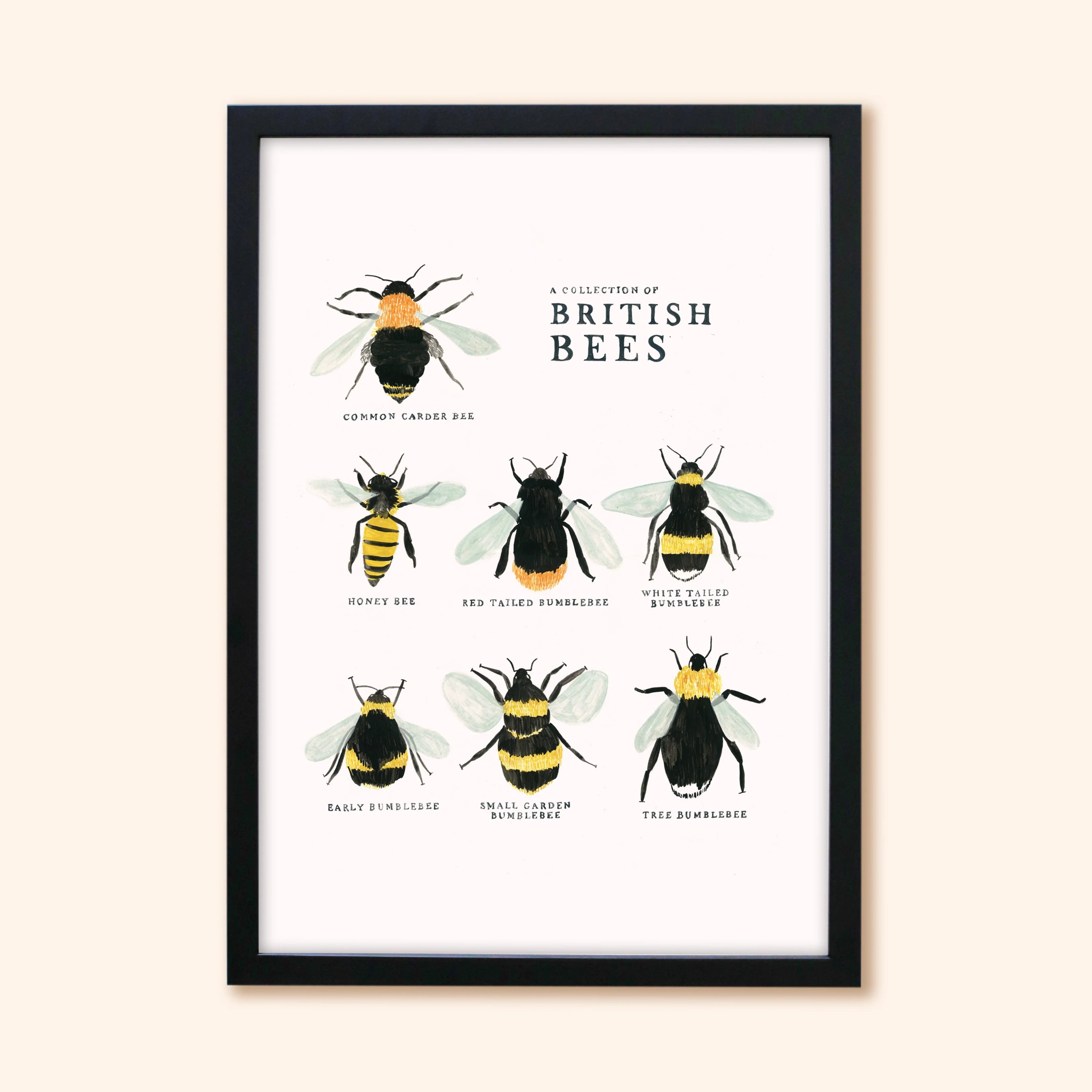 Bee Art Print - A Collection of British Bees